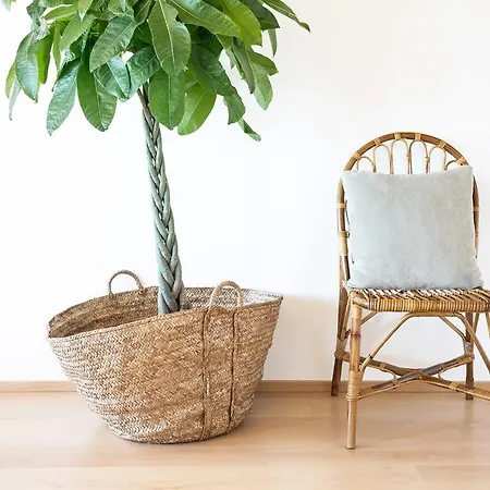 Cestaria * Costa Nova