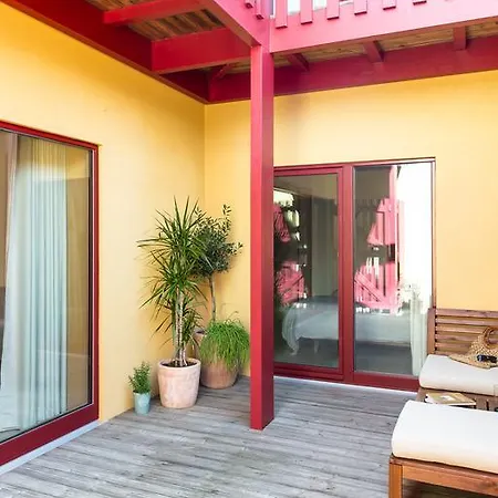 Cestaria كوستا نوفا