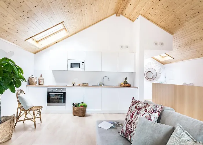 Cestaria * 诺瓦海岸