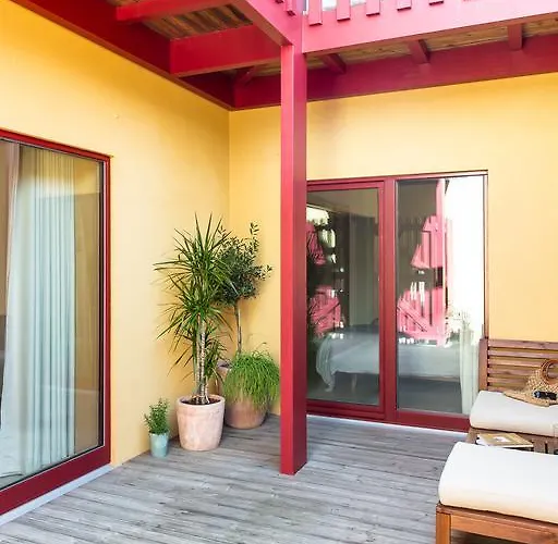 Cestaria 诺瓦海岸