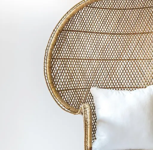 Cestaria * 诺瓦海岸